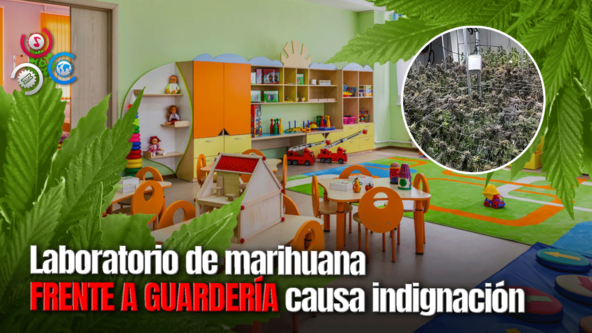 Descubren Laboratorio Clandestino De Marihuana Próximo A Una Guardería En Brooklyn