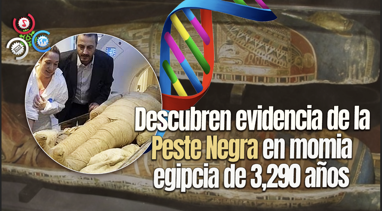 Descubren En Una Momia El Origen De Una Enfermedad Mortal Que Cobró Más De 50 Millones De Vidas