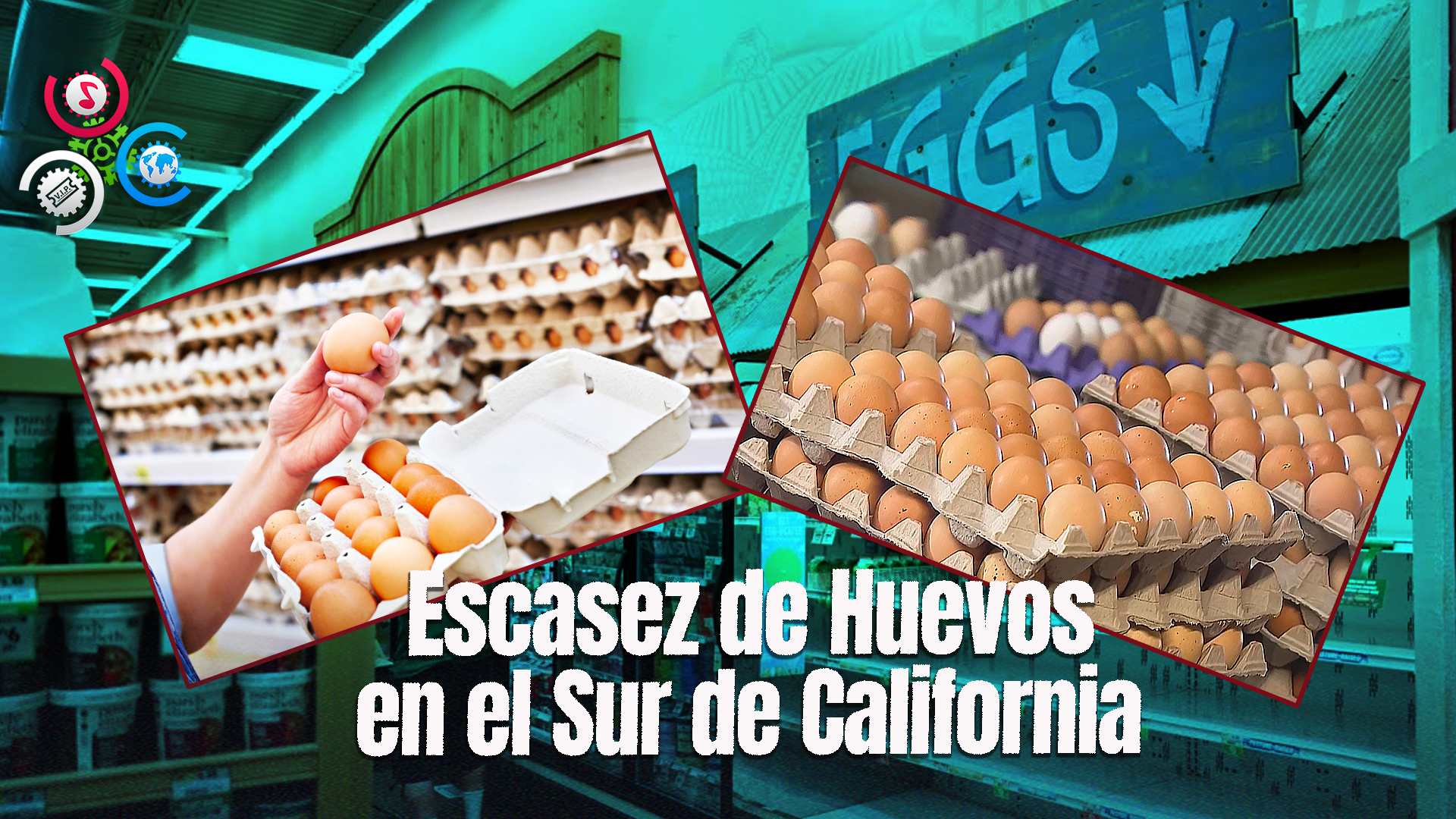 Habitantes Del Sur De California Reportan Escasez De Huevos