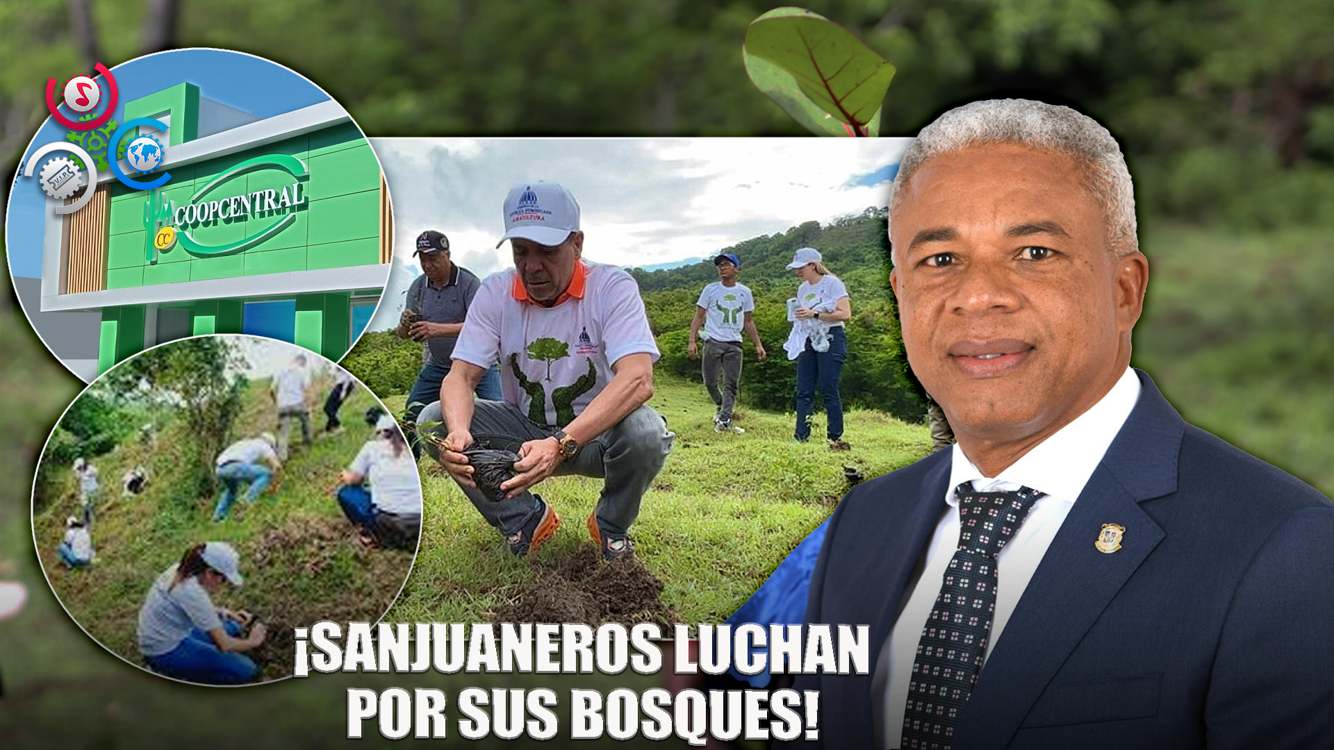 Campaña Ecológica Busca Recuperar Bosques En San Juan
