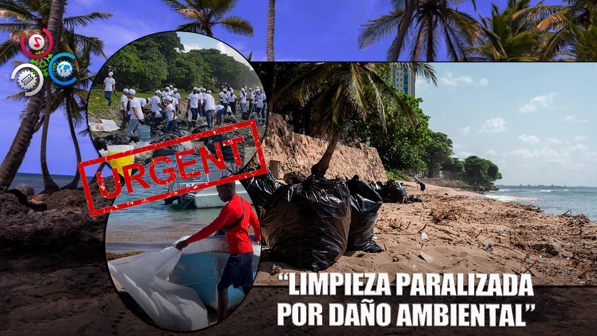 Paralizan Limpieza De Playas En Punta Cana Por Impacto Ambiental