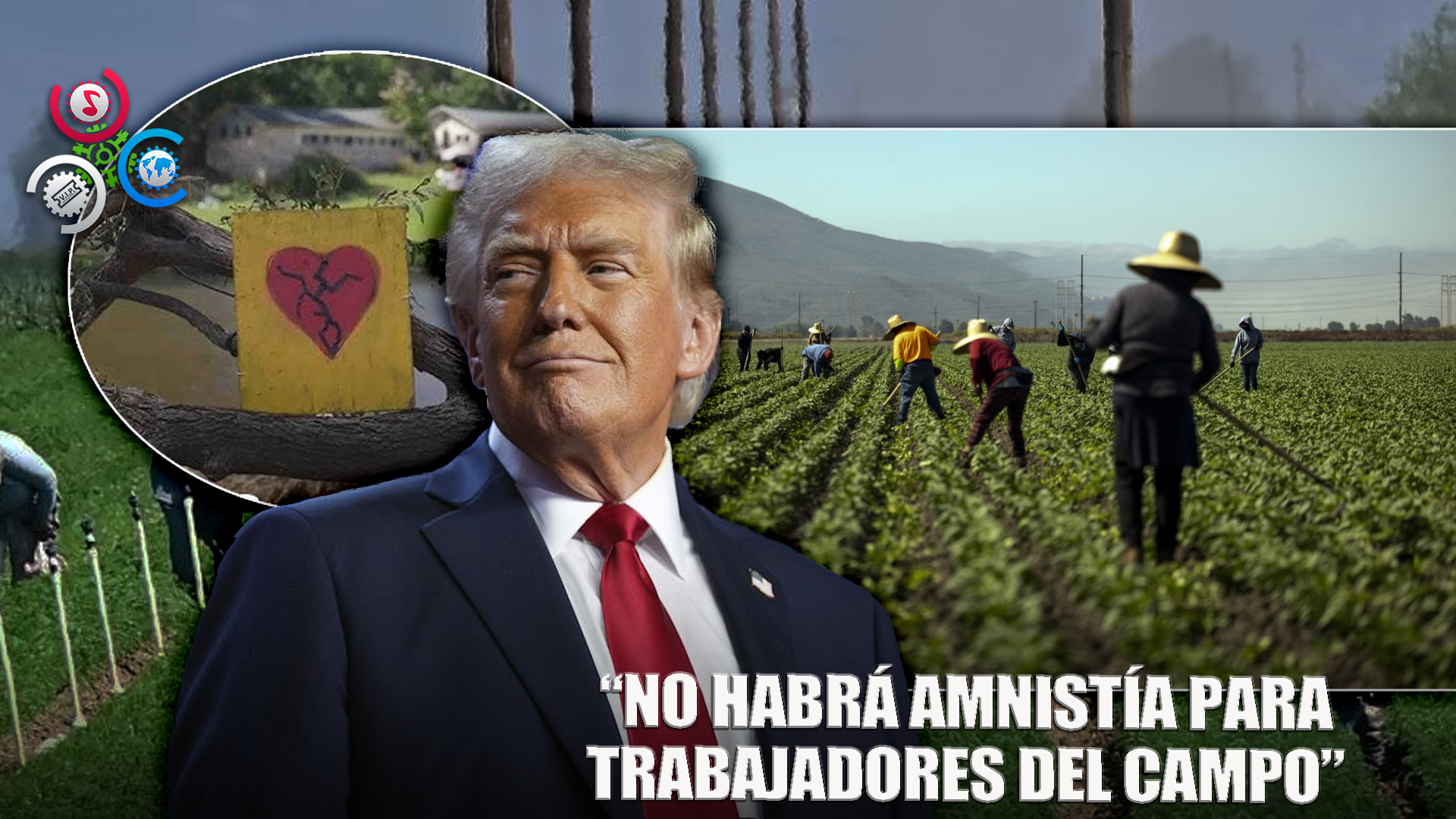 Trump: “No Habrá Amnistía Para Trabajadores Del Campo”