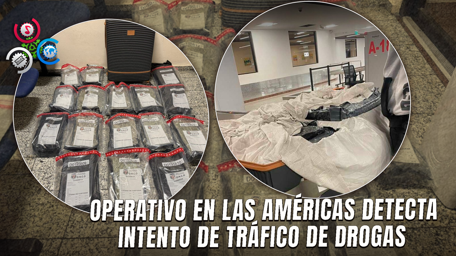 Incautan 60 Paquetes De Marihuana En El Aeropuerto Las Américas; Detienen A Joven Estadounidense