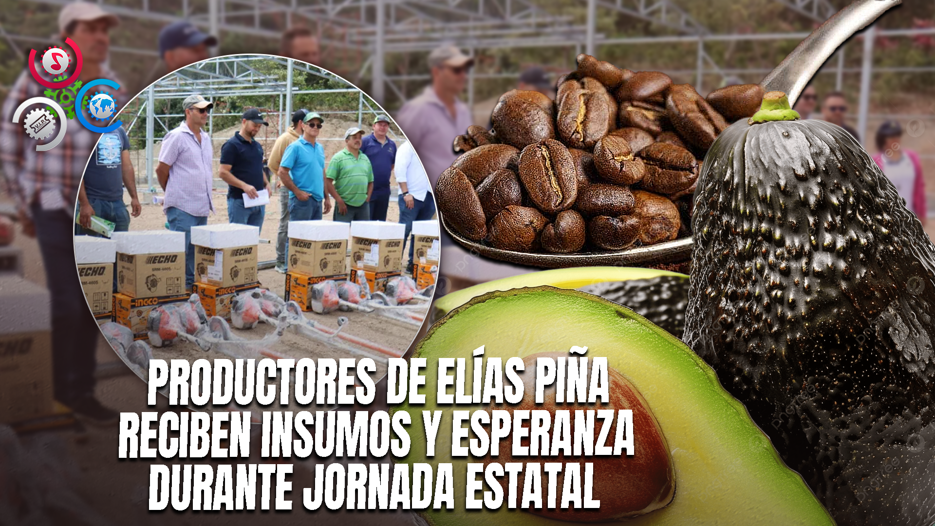 Productores De Café Y Aguacate Reciben Plantas E Insumos Por Parte Del Gobierno