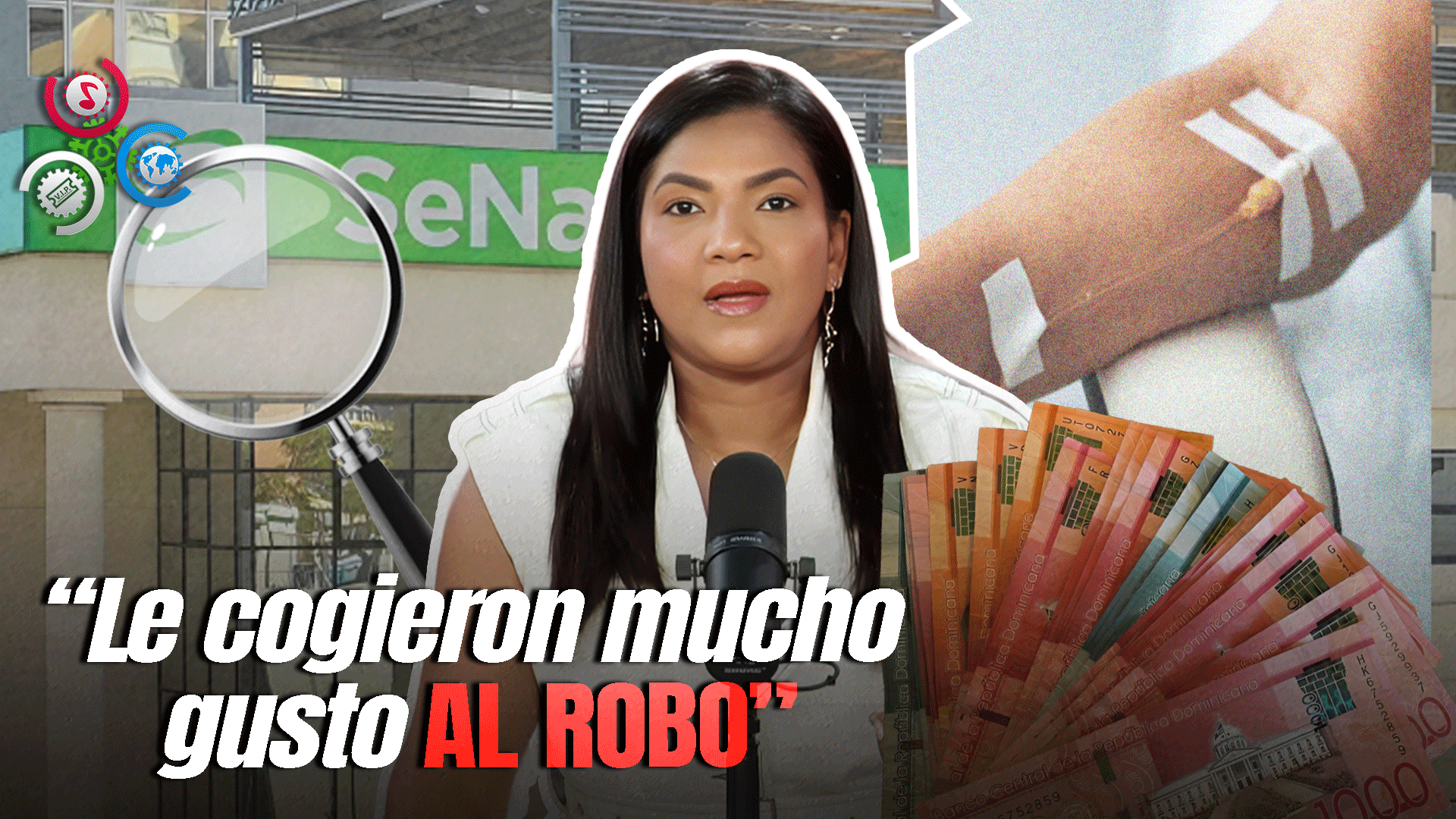 Anibelca Rosario Explica El Fraude En SeNaSa: “Es Difícil Dar La Cara Por Los Acusados”