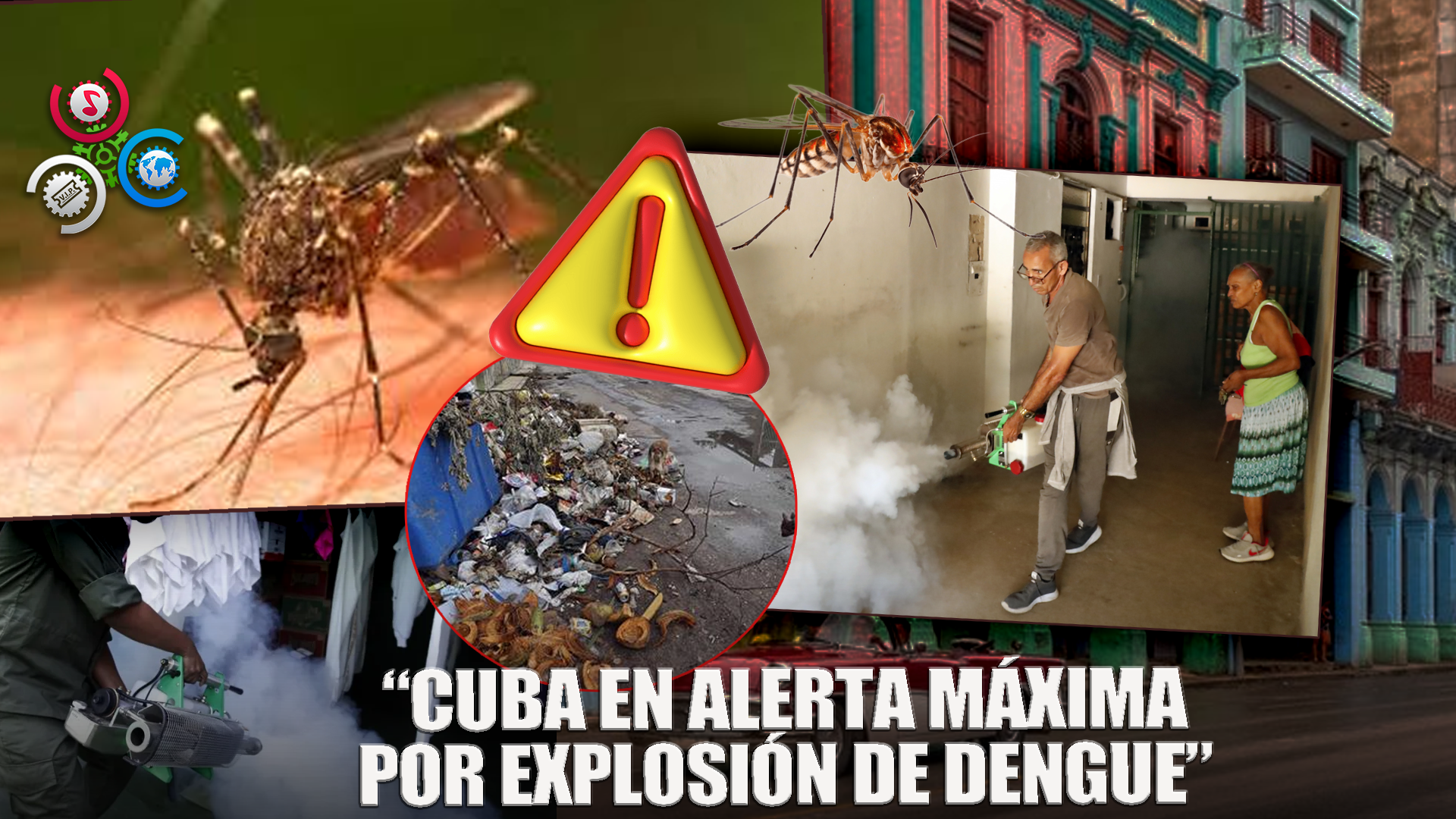 “Cuba En Alarma: Casos De Dengue Casi Se Duplican En Solo Una Semana”