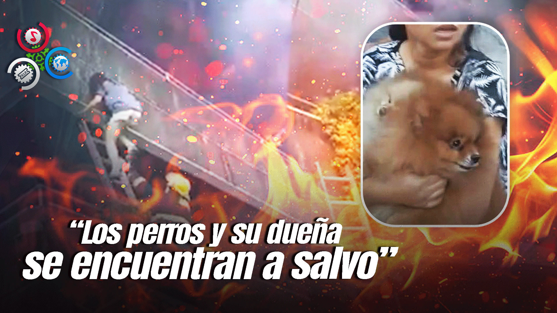 Mujer Logra Salvar A Sus Perros Y Ser Rescatada Justo Antes De Ser Arrasada Por Las Llamas De Incendio En Filipinas