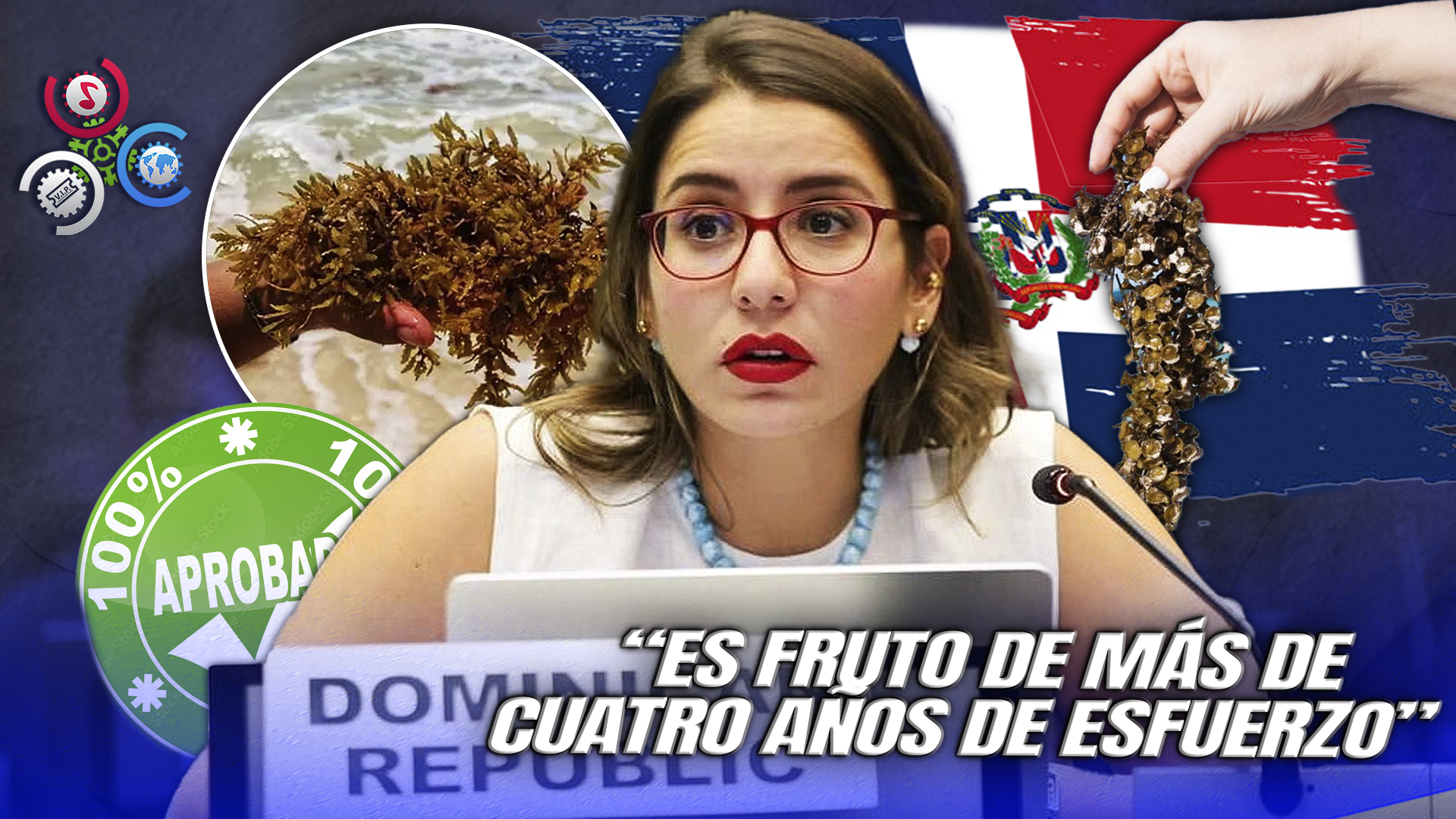 República Dominicana Logra Histórica Resolución En La ONU Para Enfrentar El Sargazo
