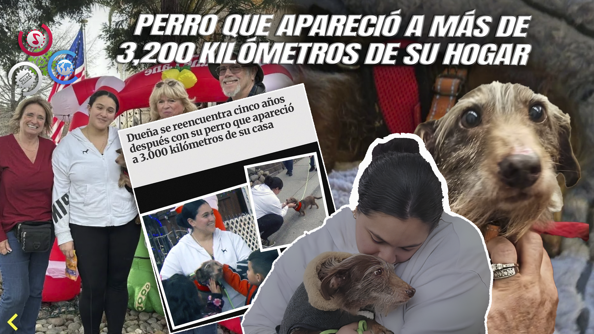 Familia De California Se Reencuentra Con Su Perro Perdido Hace Casi Cinco Años: “¡Todo Gracias A Un Microchip!”