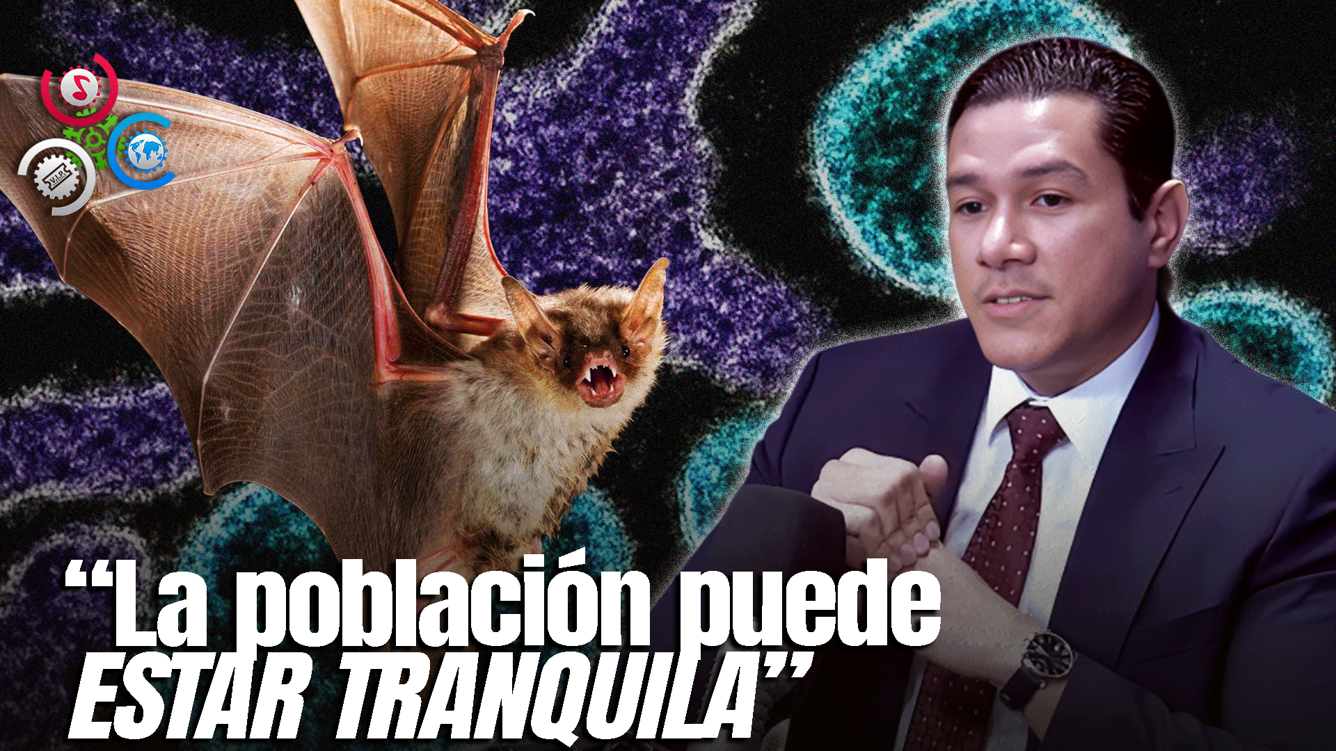 Viceministro De Salud Eladio Pérez Dice Es Poco Probable Llegada De Virus Nipah Al País