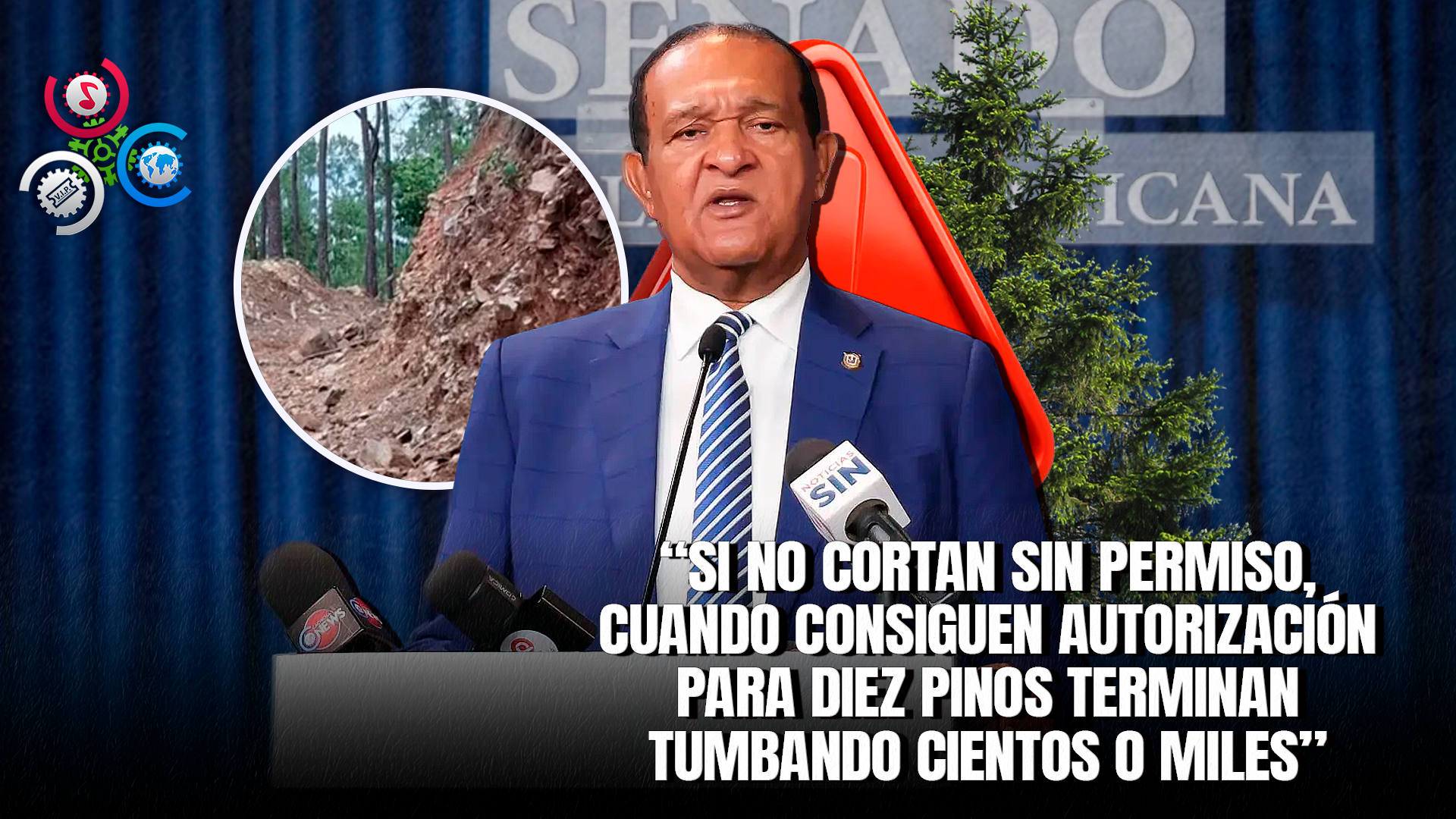 Antonio Marte Alerta Sobre Grave Daño Ambiental Por Tala Masiva De Pinos En Santiago Rodríguez
