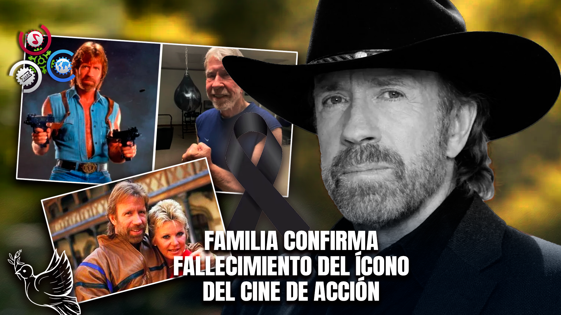 Muere Chuck Norris A Los 86 Años Tras Emergencia Médica En Hawái