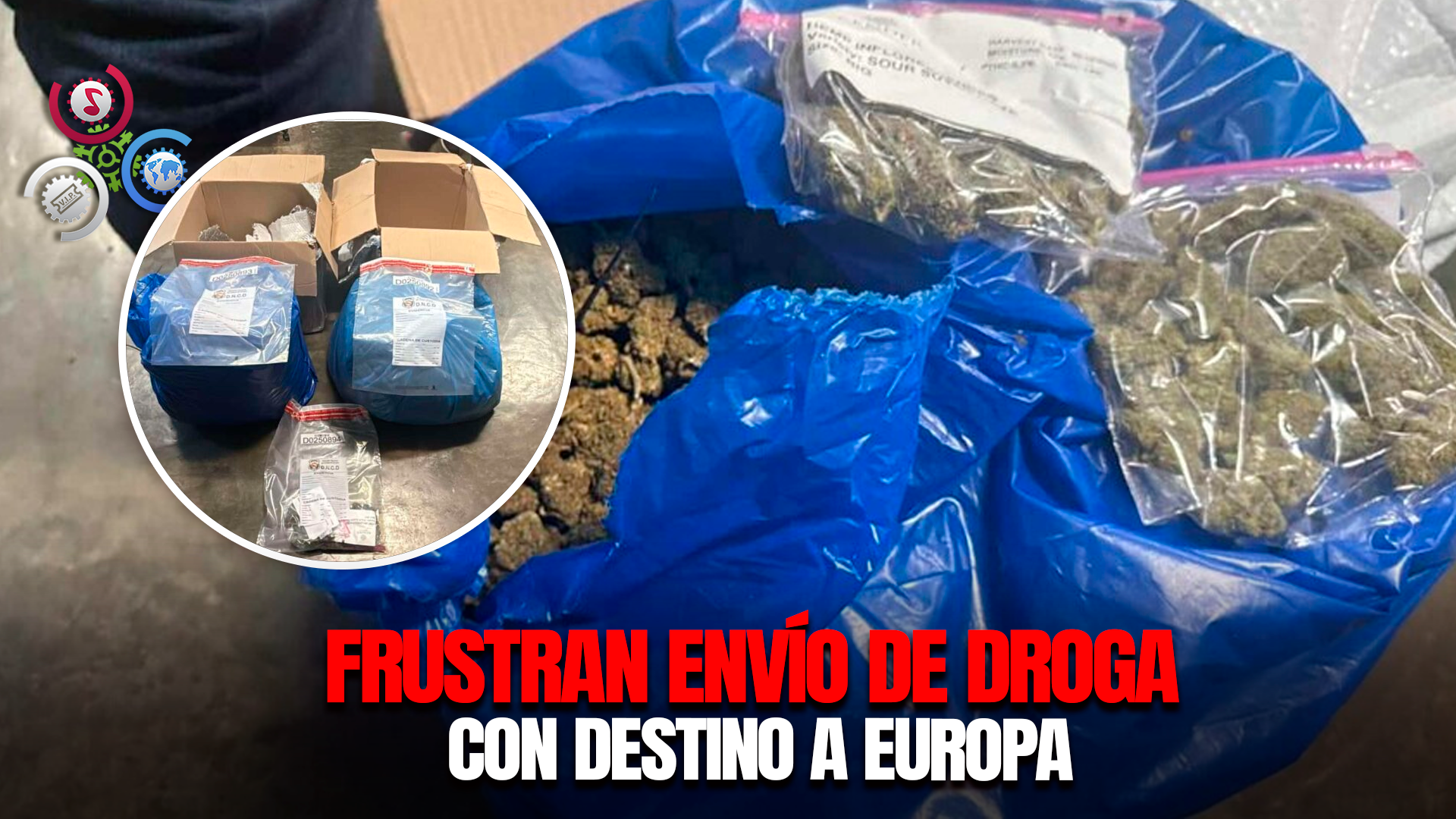 Incautan 35 Libras De Marihuana En El AILA Durante Operativo Conjunto