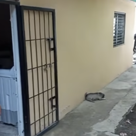 Asaltan a regidor de Villa González y se suma al ola de robos