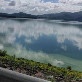 Cianobacterias en presas: científicos dominan la crisis del agua dulce