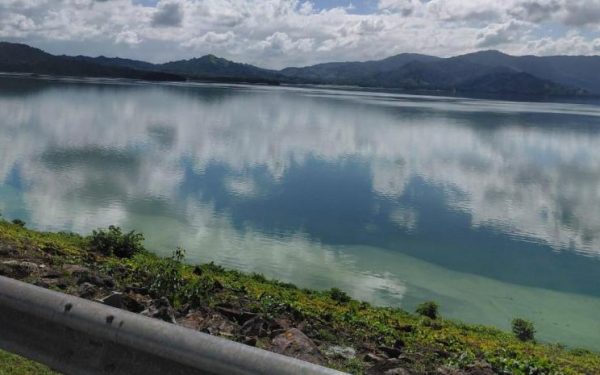 Cianobacterias en presas: científicos dominan la crisis del agua dulce