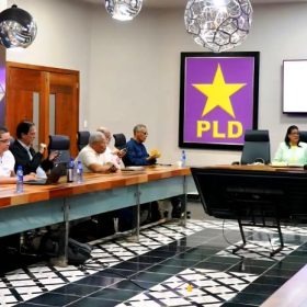 Comisión del PLD asegura que no favorecerá a ningún aspirante en la consulta