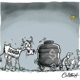 Vaca flaca de SENASA