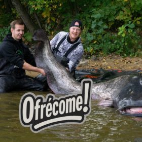 Pescadores logran capturar bagre europeo gigante en hazaña histórica