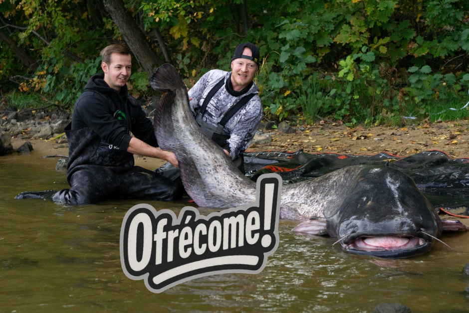 Pescadores logran capturar bagre europeo gigante en hazaña histórica