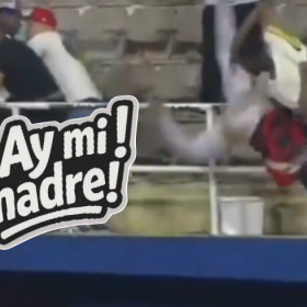 ¿Quéseto? Rebú explosivo entre jugadores y fanáticos en Bonao
