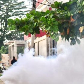 Salud Pública confirma 15 casos de dengue esta semana