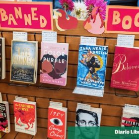Vetos a libros en escuelas en EE.UU.: El libro quemado no es el de la historia, es el de nuestra cultura